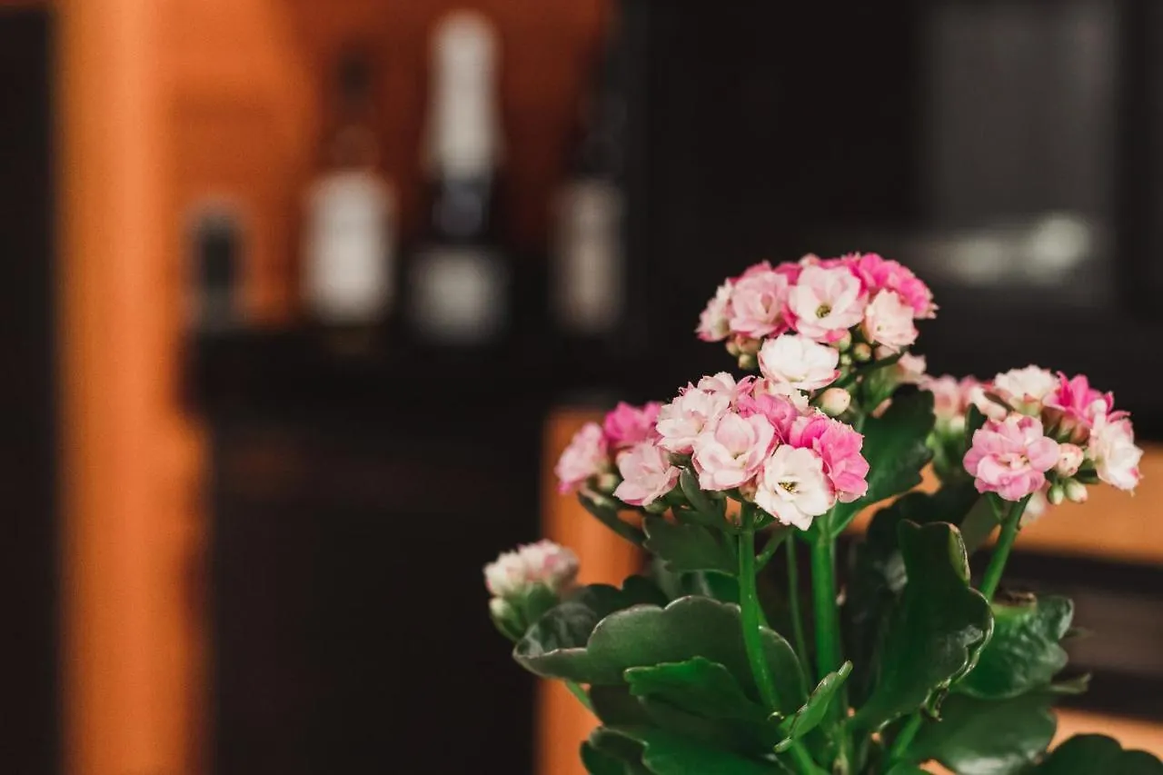 Chale Romantico Com Banheira De Hidromassagem E Lareira Bom Retiro  Chalé